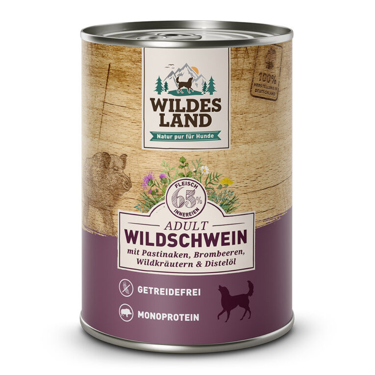 Wildschwein mit Pastinake