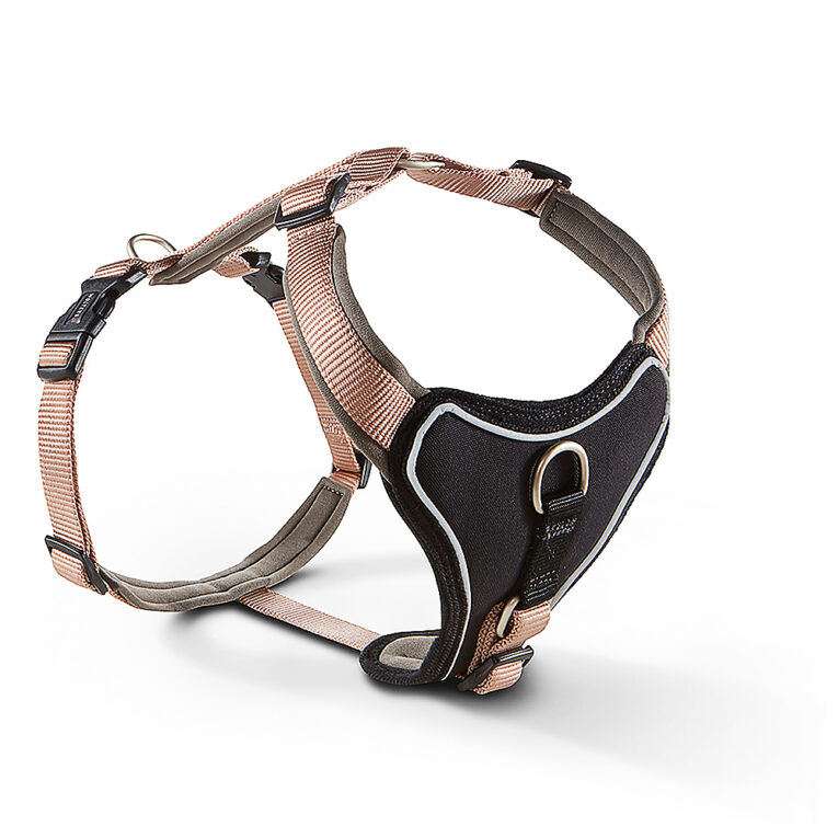 Geschirr Professional Comfort champagner/trüffel Das Geschirr Professional Comfort von Wolters ist ein Hundegeschirr aus robustem Nylonmaterial. Das Geschirr hat eine ausgezeichnete Passform und ist für jede Art von Hundestatur geeignet. Das Geschirr kann auch für Hunde mit kräftigerem Körperbau