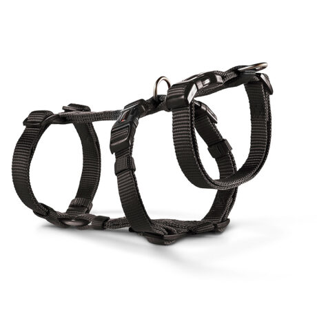 Wolters | Professional No Escape schwarz | L / 50 - 70 cm