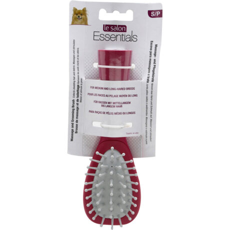 Le Salon | LS Massage- und Pflegebürste, klein | L 6 x B 3,9 x H 18,1 cm