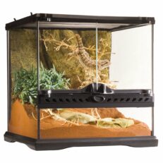 Terraristik