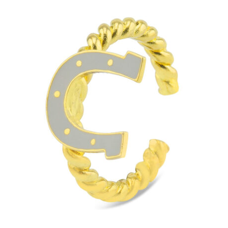 Hufeisen Gl?cksbringer Ring vergoldet