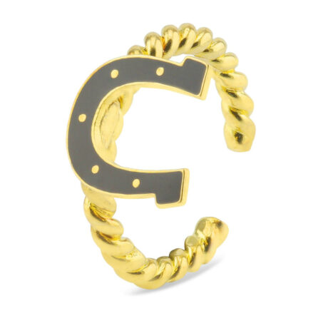 Hufeisen Gl?cksbringer Ring vergoldet