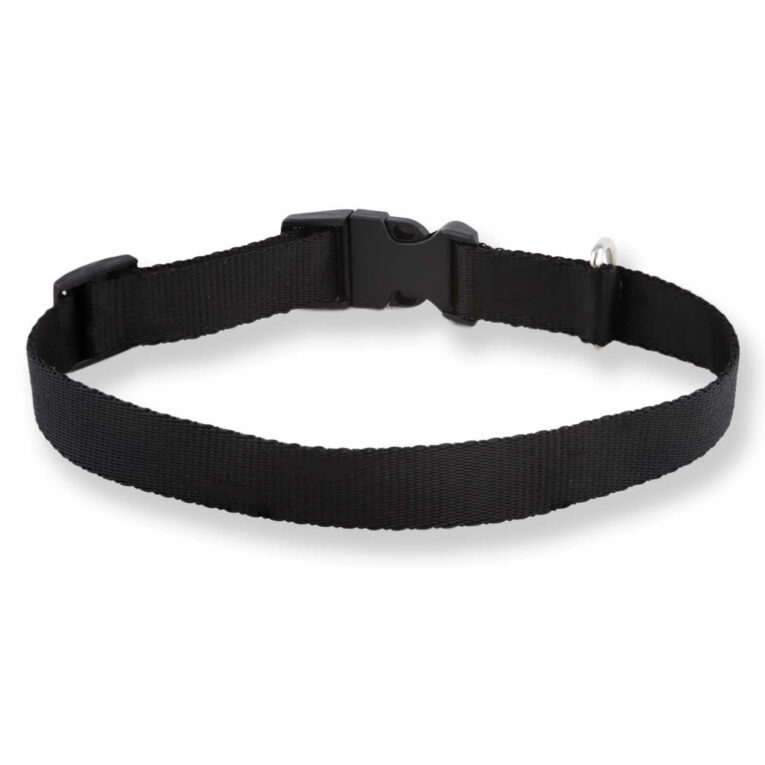 Hundehalsband aus Nylon IN UNSEREM Hundeshop günstig kaufen