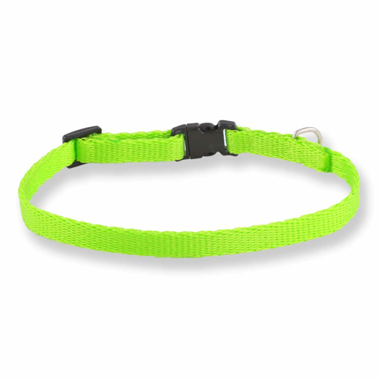 Hundehalsband aus Nylon IN UNSEREM Hundeshop günstig kaufen