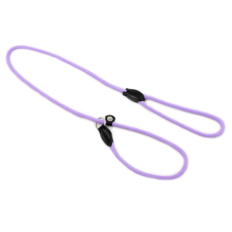 Hundeleine aus Nylon IN UNSEREM Hundeshop günstig kaufen