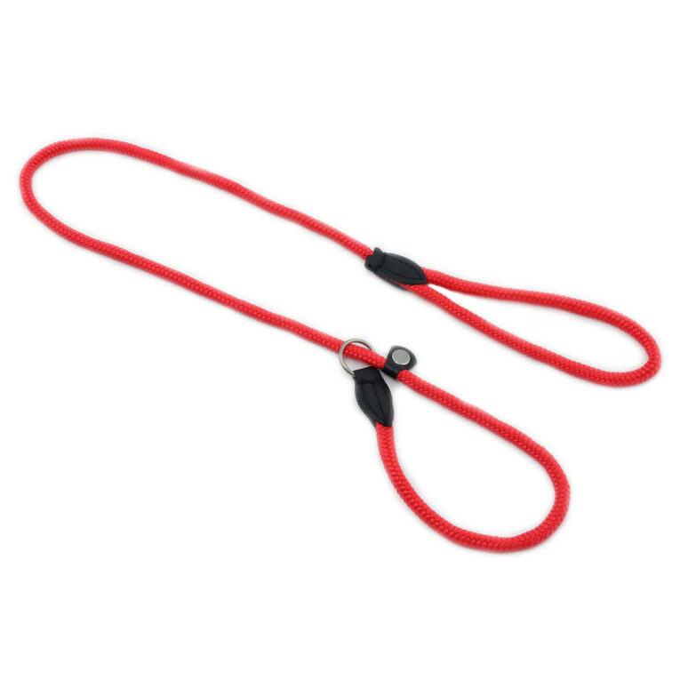 Hundeleine aus Nylon IN UNSEREM Hundeshop günstig kaufen