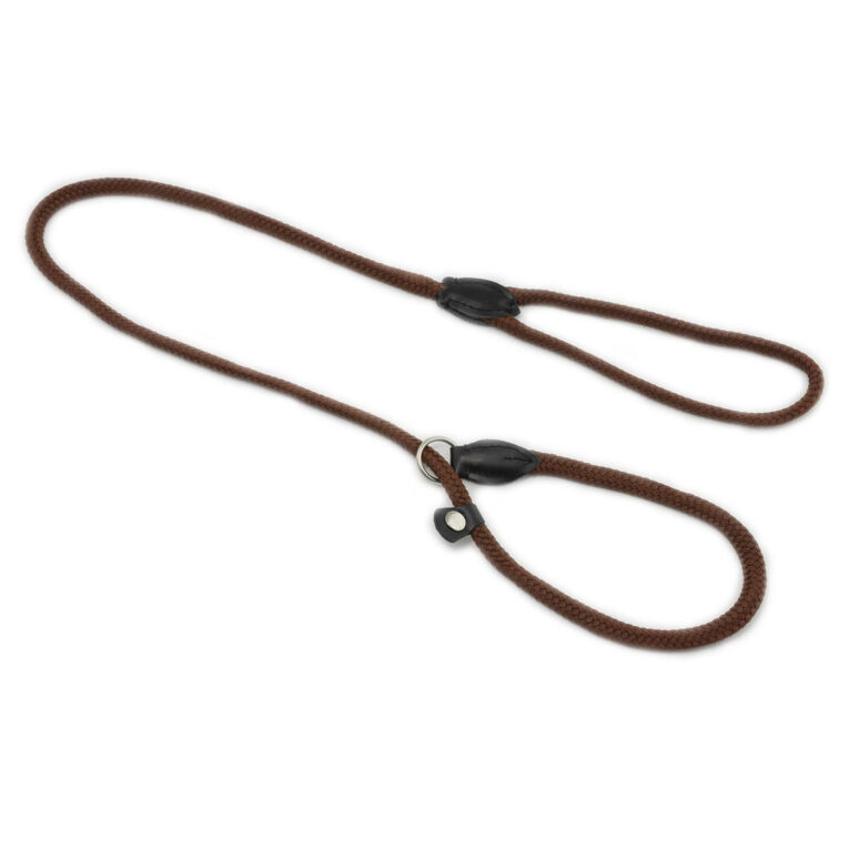 Hundeleine aus Nylon IN UNSEREM Hundeshop günstig kaufen