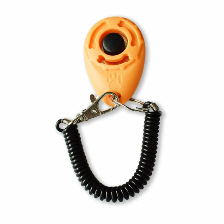 Klicker Training Hund in beige IN UNSEREM Hundeshop günstig kaufen