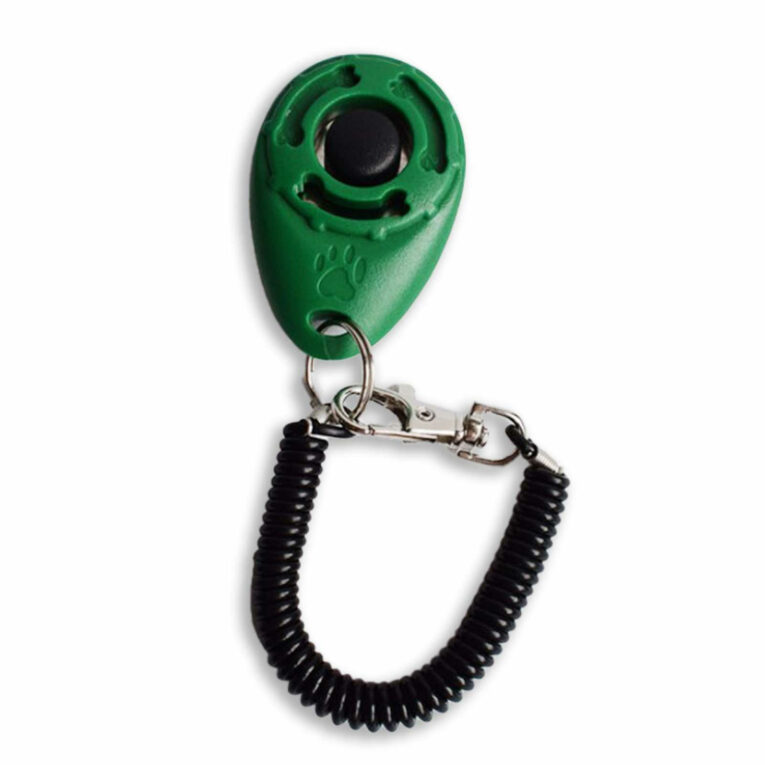 Klicker Training Hund in dunkelgr?n IN UNSEREM Hundeshop günstig kaufen
