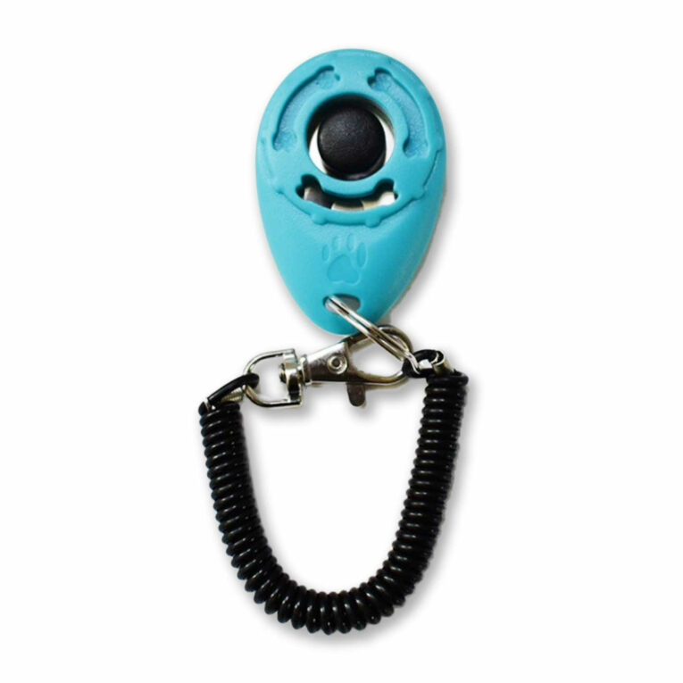Klicker Training Hund in hellblau IN UNSEREM Hundeshop günstig kaufen