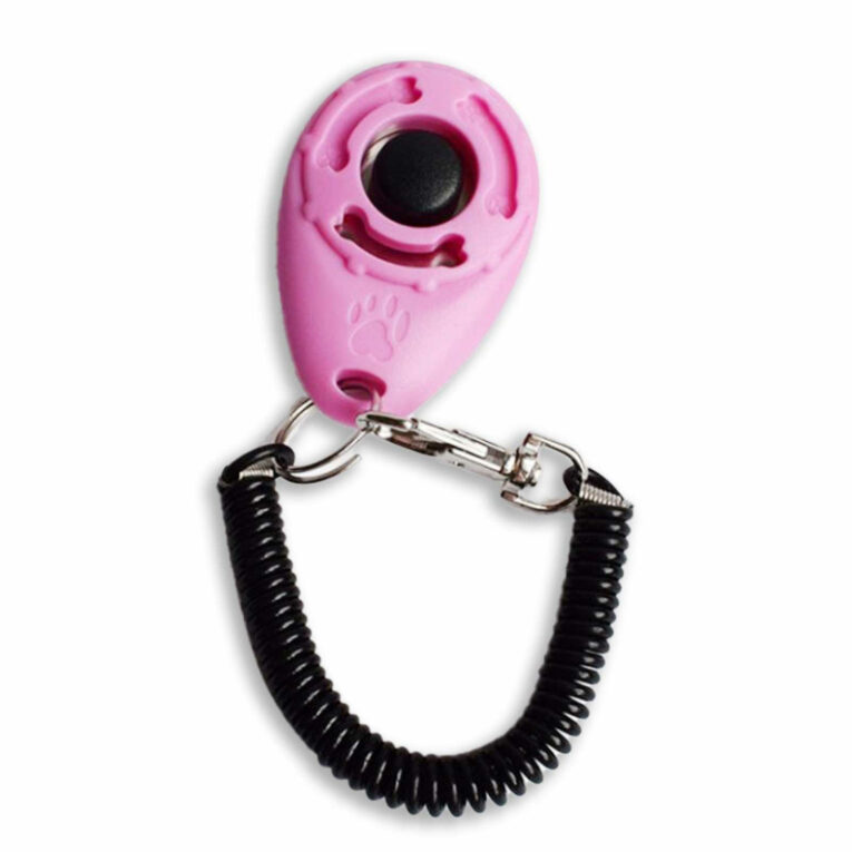 Klicker Training Hund in pink IN UNSEREM Hundeshop günstig kaufen