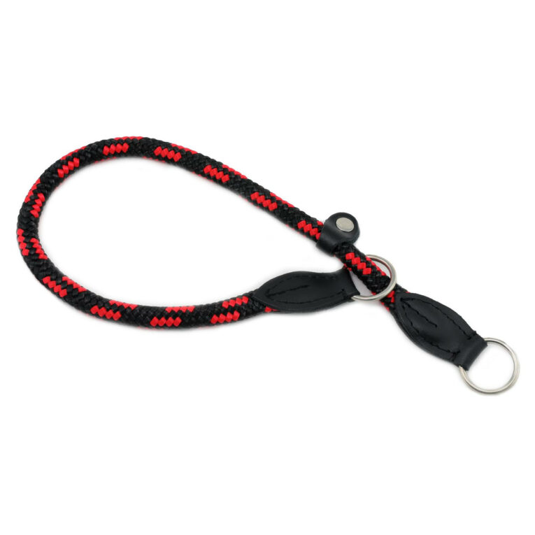 Zugstopp Hundehalsband aus Nylon IN UNSEREM Hundeshop günstig kaufen