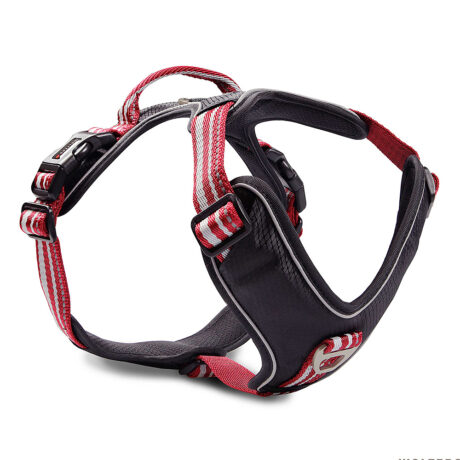 Wolters | Geschirr Active Pro rot/silber | Gr. 1 40 - 47,5 cm x 30 mm