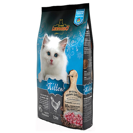 Leonardo | Kitten | 400 g
