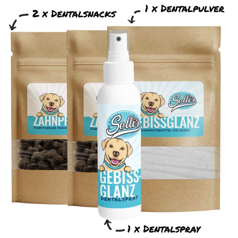 Zahnglanz Bundle XXL | Dentalspray
