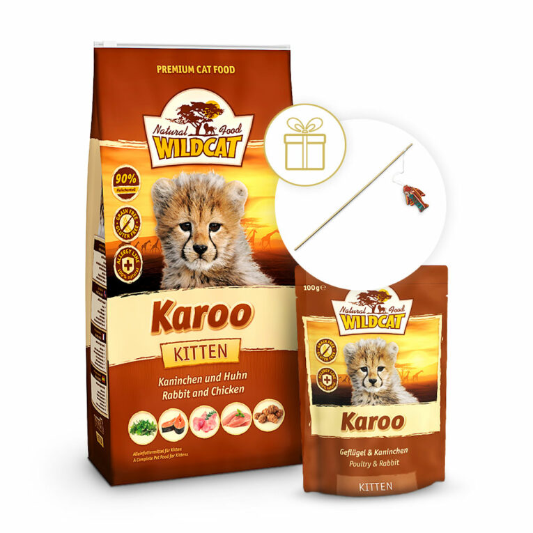 Wildcat Karoo Kitten Starterpaket In diesem Starterpaket bekommst Du 3 kg Trockenfutter in der Sorte Karoo und 14 x 100 g Nassfutter in der gleichen Sorte. Dazu gibt es die Spielangel von Wolters gratis. Wildcat Karoo Kitten Starterpaket im Überblick: 3 kg Trockenfutter in der Sorte Karoo (Kaninchen