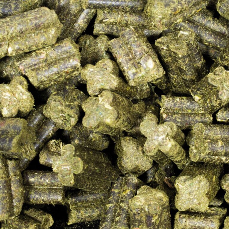 JR Farm Kaninchenfutter Grainless Complete Zwergkaninchen ist ein getreidefreies Alleinfutter für alle Zwergkaninchen in praktischen gepressten Quad Bits.