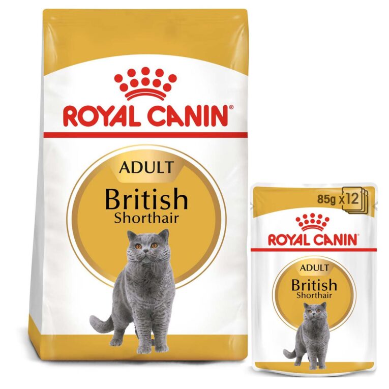 ROYAL CANIN Futter für ausgewachsene British Shorthair Katzen. Das hochwertige Trocken- und Nassfutter ist angepasst an die Ernährungsbedürfnisse von adulten British Kurzhaar Katzen. Für schönes Fell & ein ideales Gewicht.