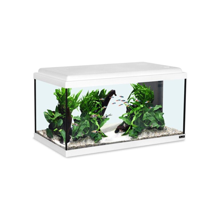 Aquarium Komplettsystem mit 54L Becken