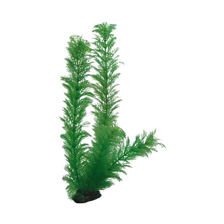 Optimal zur natürlichen Gestaltung von Aquarien.
