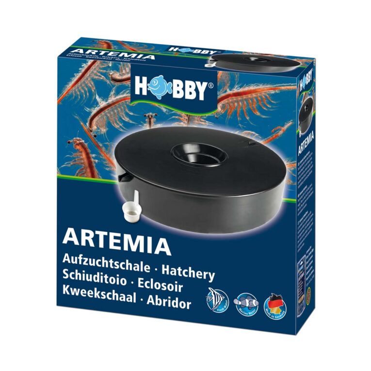 Einfachste Art Artemia Eier zum schlüpfen zu bringen. Sie benötigen lediglich die Eier und das Salz.
