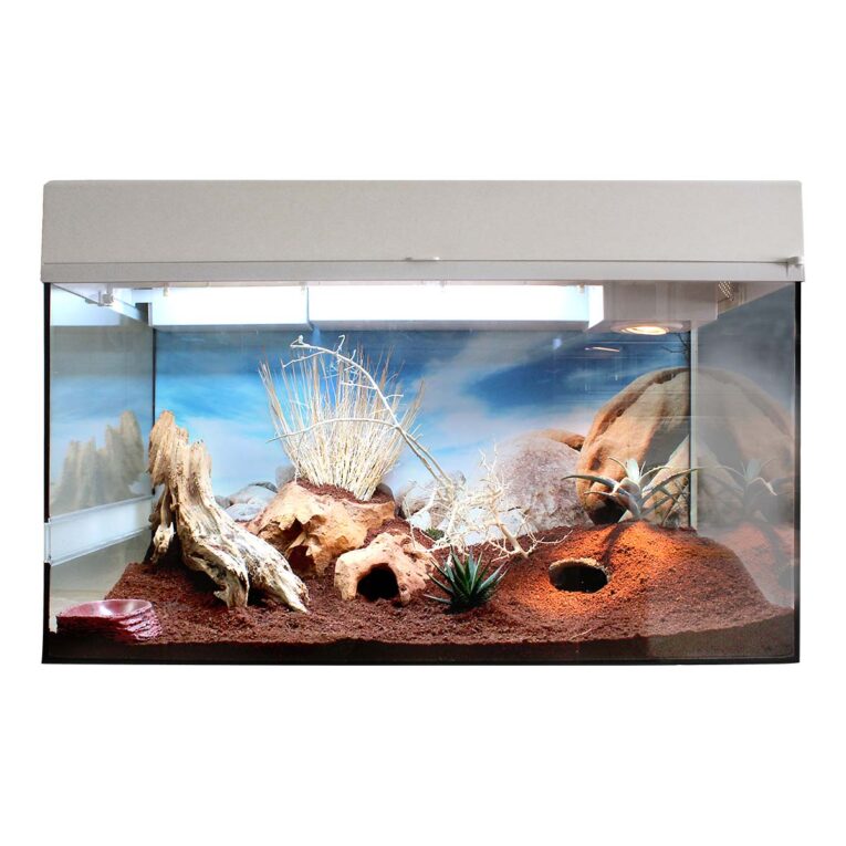 Starter Kit Terrarium für junge und erwachsene Leopardgeckos.