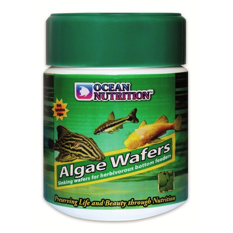 Die Ocean Nutrition Algae Wafers sind ideale Futtertabletten für herbivore