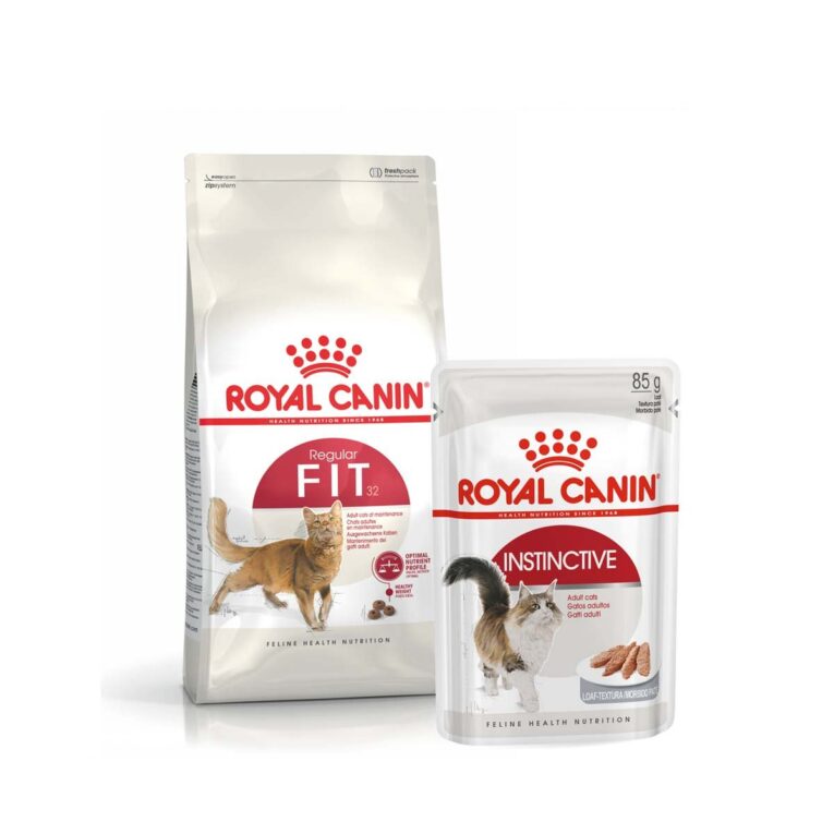 ROYAL CANIN Futter für aktive Katzen. Das hochwertige Trocken- und Nassfutter ist angepasst an die Ernährungsbedürfnisse von ausgewachsenen Katzen.