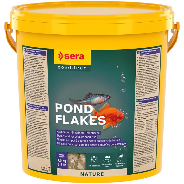 Flockenfutter für Goldfische