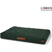 LOOKS by Wolfgang Joop Kissen Cord M