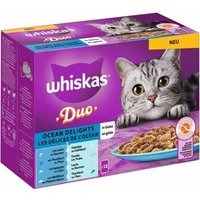 Whiskas Duo Multipack Ocean Delights in Gelee 12 x 85g