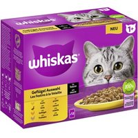 Whiskas Multipack 1+ Geflügel Auswahl in Sauce 12 x 85g