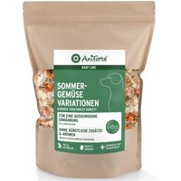 AniForte BARF- Line Sommergemüse Variationen 1kg