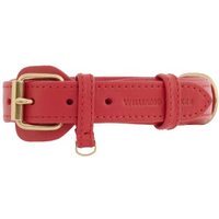 William Walker Hundehalsband Plain Chili XXL