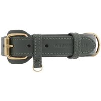 William Walker Hundehalsband Plain Dark Moss XXL