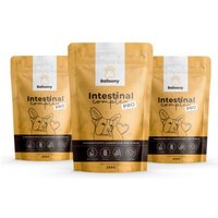 German Shephy Darmpulver Intestinal Pro 600 g