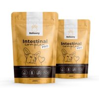 German Shephy Darmpulver Intestinal Pro 400 g