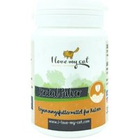 I love my cat Dental Pulver - 35g