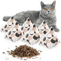 Canadian Cat Company Baldrianspielzeug 6x Schmusepyramide Kreise