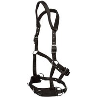 GOLDHORSE Kappzaum Basic schwarz WB (Warmblut)