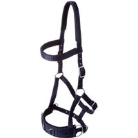 GOLDHORSE Kappzaum Basic navy WB (Warmblut)