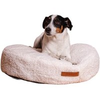 Rexproduct Coco Teddy M