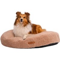 Rexproduct Coco Teddy M