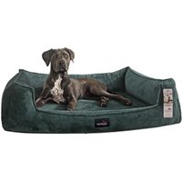 Tierlando ® Orthopädisches Hundebett FRANKLIN Kuscheliger Teddy-Stoff - Hundesofa petrol 1