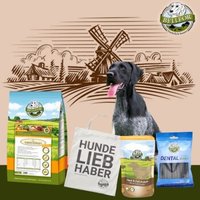 Bellfor Deutsch Drahthaar Futter Set
