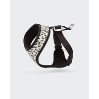 Paikka Mesh Hundegeschirr 2.0 XS