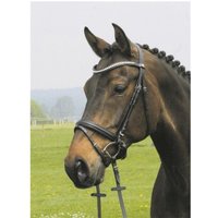 Hans Melzer Horse Equipment Hans Melzer Trense Valluhn schwarz/silber schwedisches Reithalfter WB (Warmblut)