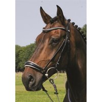 Hans Melzer Horse Equipment Hans Melzer Trense Valluhn schwarz/silber hannoversches Reithalfter weiß unterlegt WB (Warmblut)