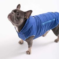 PAW WOW Hundejacke IMMI Blau XXL